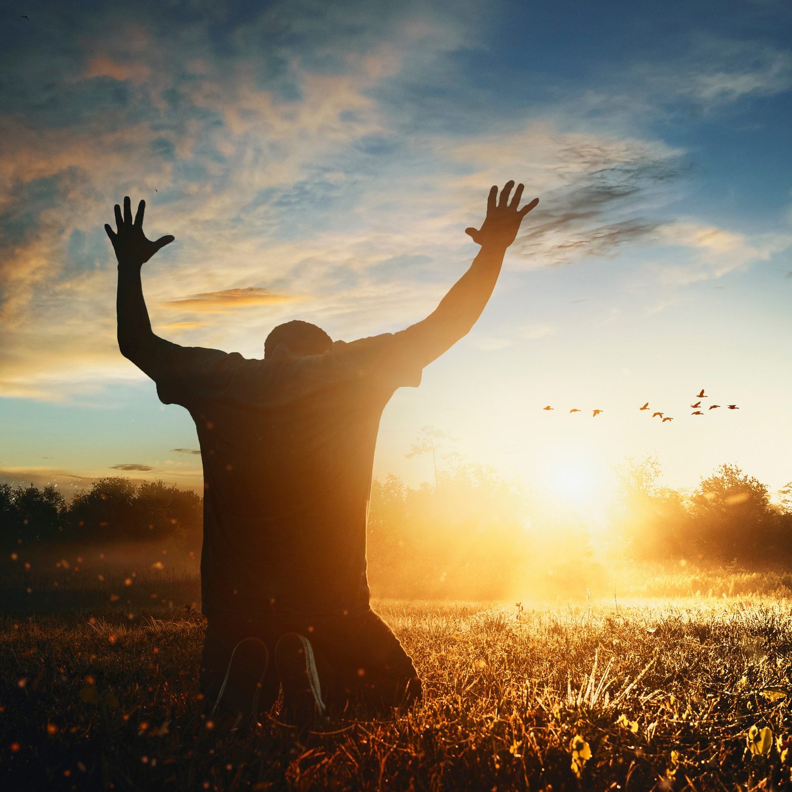 A Man Worshiping in Field